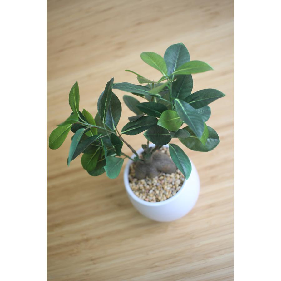 人工観葉植物 造花 27cm ガジュマル インテリアポット 男前インテリア