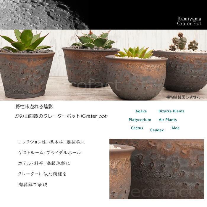 陶器鉢 植木鉢 5号 クレーターポット 中深 おしゃれ プランター 園芸鉢