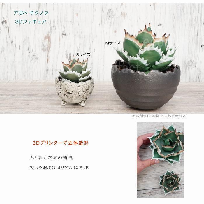 フェイクグリーン 3D フィギュア アガベ チタノタ Mサイズ φ145mm