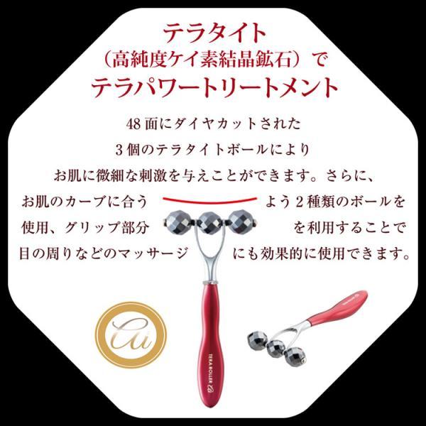 テラローラーai2 テラローラー アイ2 ポイントケアローラー コロコロ