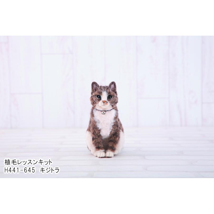 リアル猫にチャレンジするなら。 【ハマナカ】 植毛レッスンキット