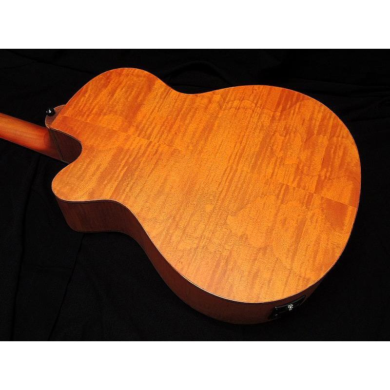 ARIA（アリア） ARIA FET-F2 BS Fホール エレアコ アコースティック