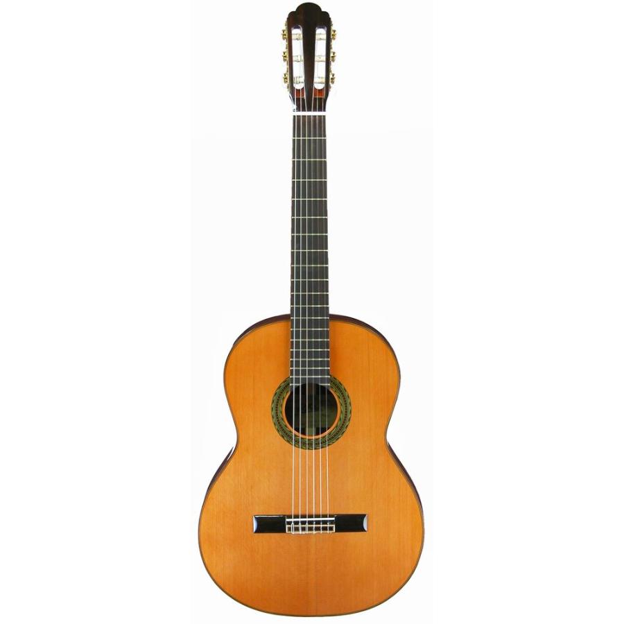 ARIA（アリア） ARIA A-100C オール単板 クラシックギター ガット