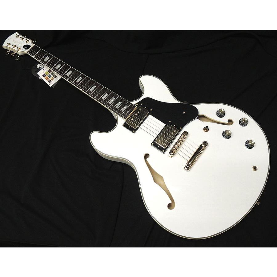 Sire Larry Carlton H7 WHT サイアー ラリーカールトン セミアコタイプ