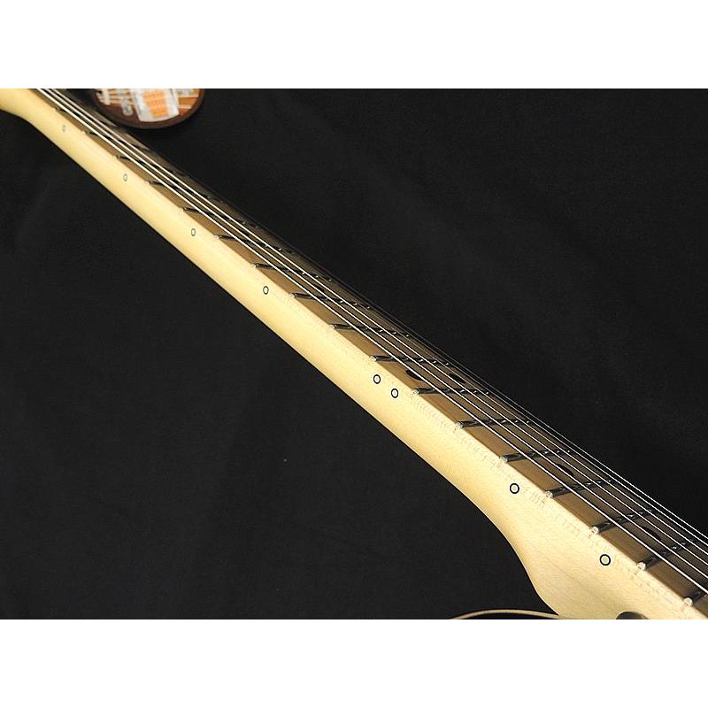 FUJIGEN（フジゲン） FGN FUJIGEN NTE100MAHT SBB テレキャスター シン