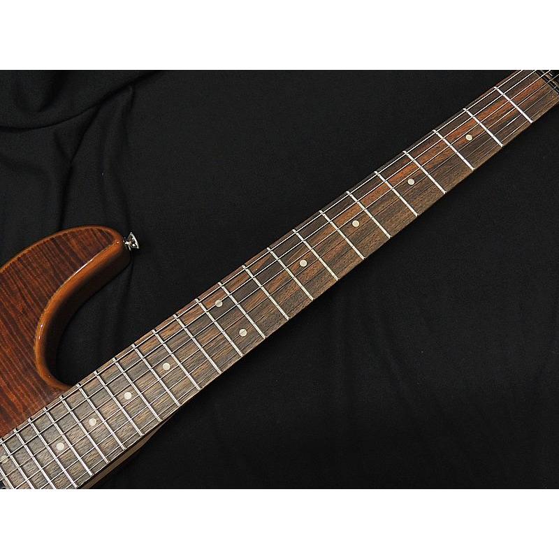 FERNANDES（フェルナンデス） Fernandes NTG-LTD WN ウォルナット