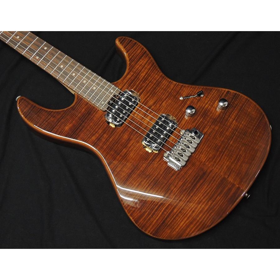 FERNANDES（フェルナンデス） Fernandes NTG-LTD WN ウォルナット