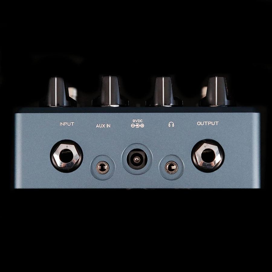 Darkglass Electronics Darkglass Electronics ALPHA OMEGA ULTRA v2