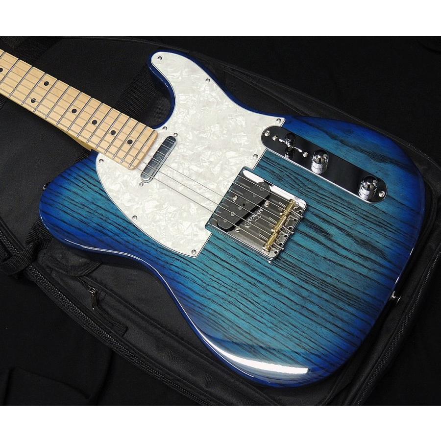 FUJIGEN（フジゲン） FGN FUJIGEN NTE100MAH SBB テレキャスター