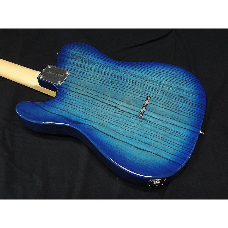 FUJIGEN（フジゲン） FGN FUJIGEN NTE100MAH SBB テレキャスター