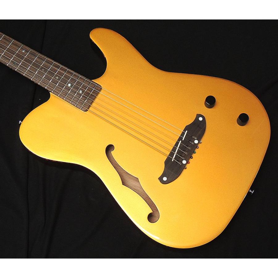 SCHECTER SCHECTER OL-FL-P GO シェクター 薄胴 Fホール エレアコ