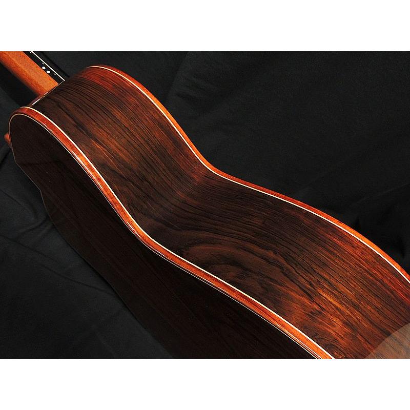 aNueNue aNN-LS800 LS Acoustic Future Series Design by Luthier