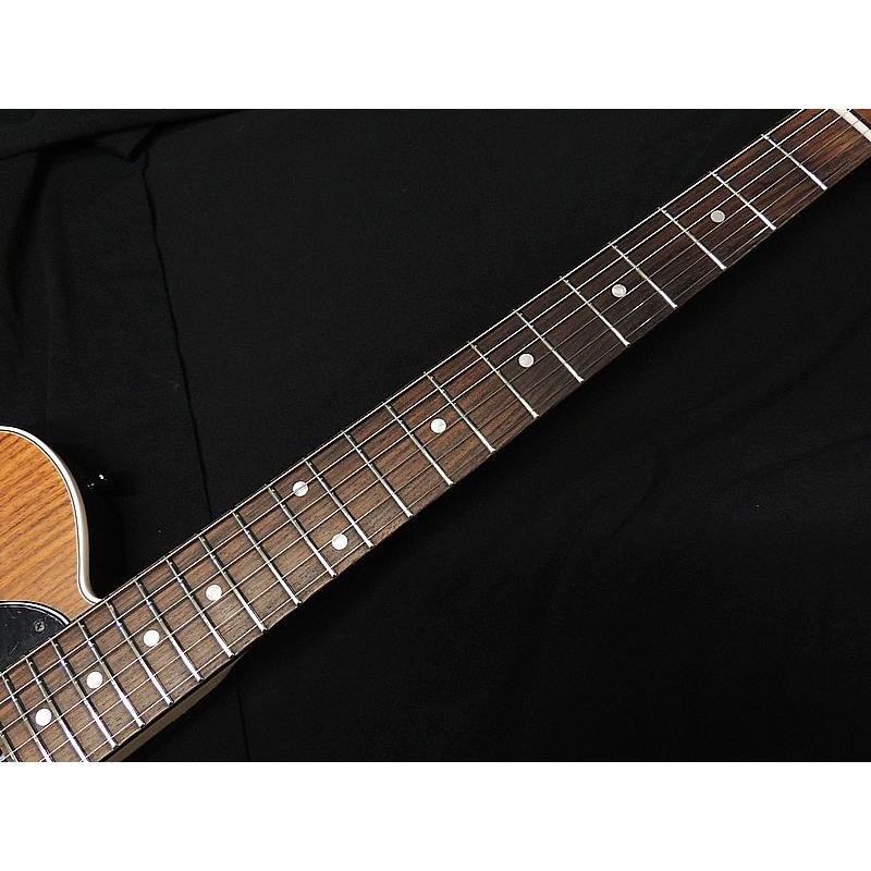 SCHECTER SCHECTER PS-PT-P90 RNT R シェクター テレキャスタータイプ