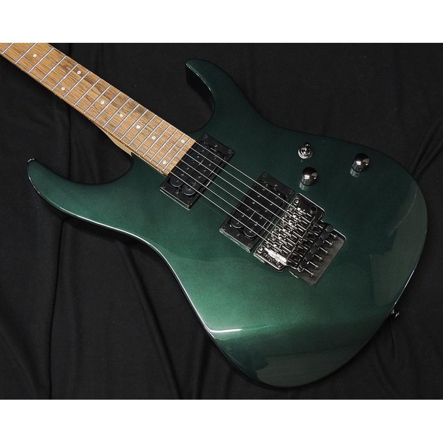 FERNANDES（フェルナンデス） Fernandes FR X EXPORT DAG Dark Army