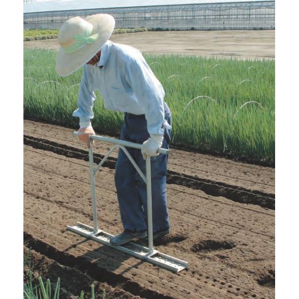 ねぎ mk008_01-1-270x179.jpg