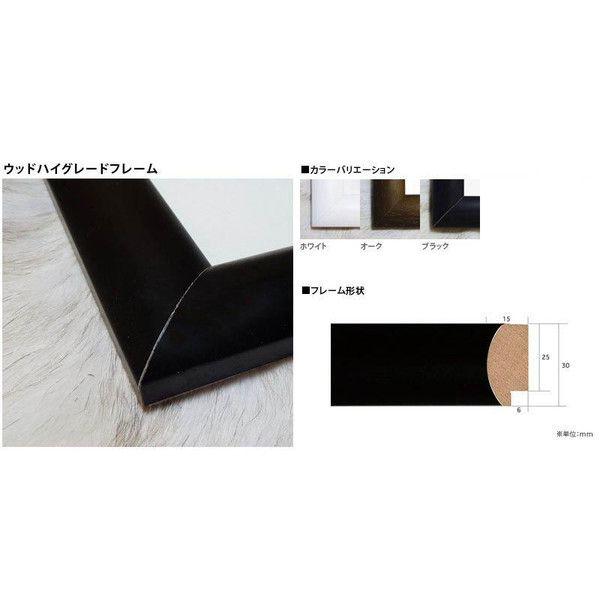 ポスター アート シュレーテル邸（ヘーリット トーマズ リートフェルト