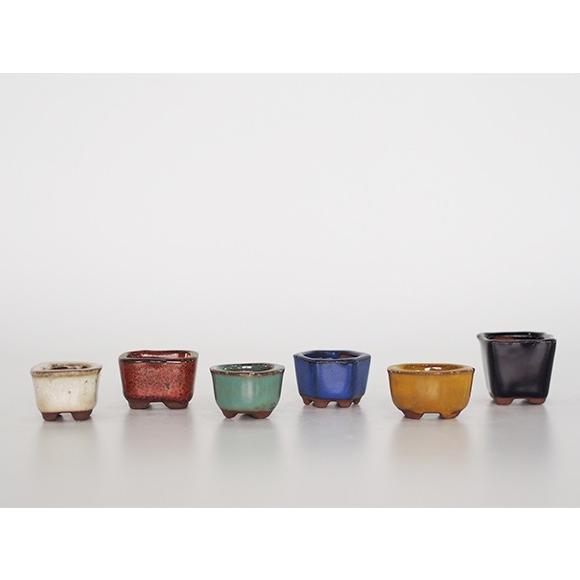 盆栽鉢 1号 豆鉢 6点セット 3cm 盆栽 陶器 小さい 極小 器 小品 : 盆栽