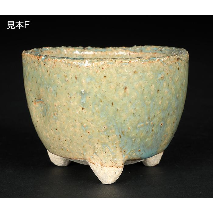 盆栽鉢 山野草鉢 「信楽焼楽風ミニ鉢8点セット」 植木鉢 陶器 2号 7cm