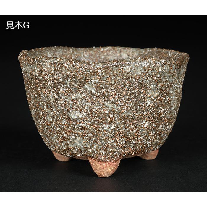 盆栽鉢 山野草鉢 「信楽焼楽風ミニ鉢8点セット」 植木鉢 陶器 2号 7cm