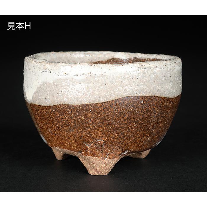 盆栽鉢 山野草鉢 「信楽焼楽風ミニ鉢8点セット」 植木鉢 陶器 2号 7cm