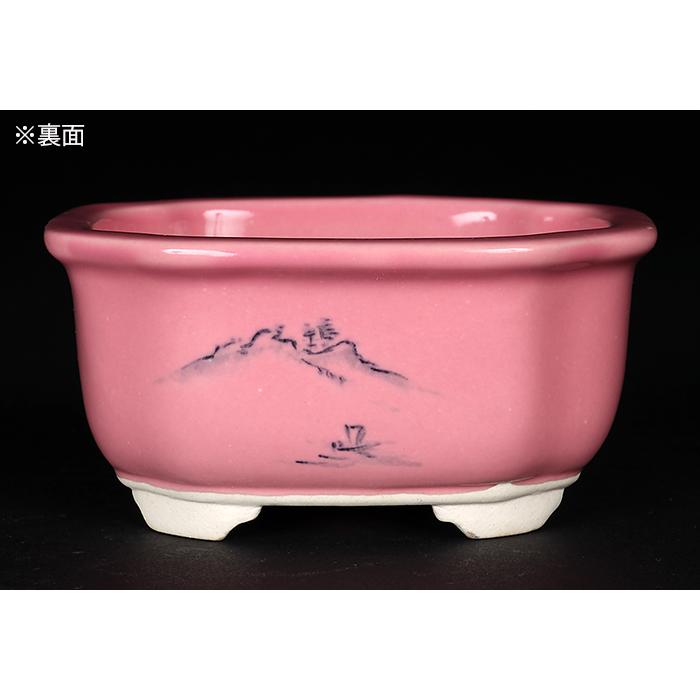盆栽鉢 植木鉢 瀬戸焼文山窯色絵鉢4点セット・桃 色鉢 絵付鉢 絵鉢 3号