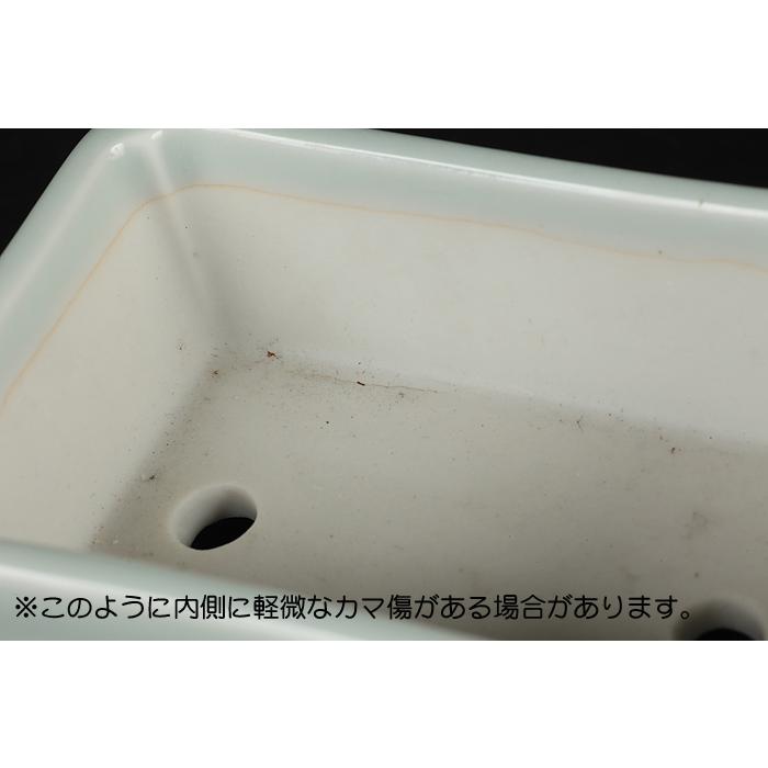 寿悦白釉長方鉢 盆栽鉢 植木鉢 盆器 pot bonsaipot juetsu ジュエツ