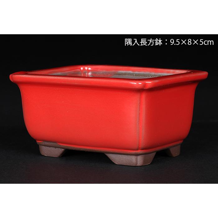 盆栽鉢 植木鉢 「瀬戸焼文山窯赤釉小鉢4点セット」 色鉢 3号 9cm