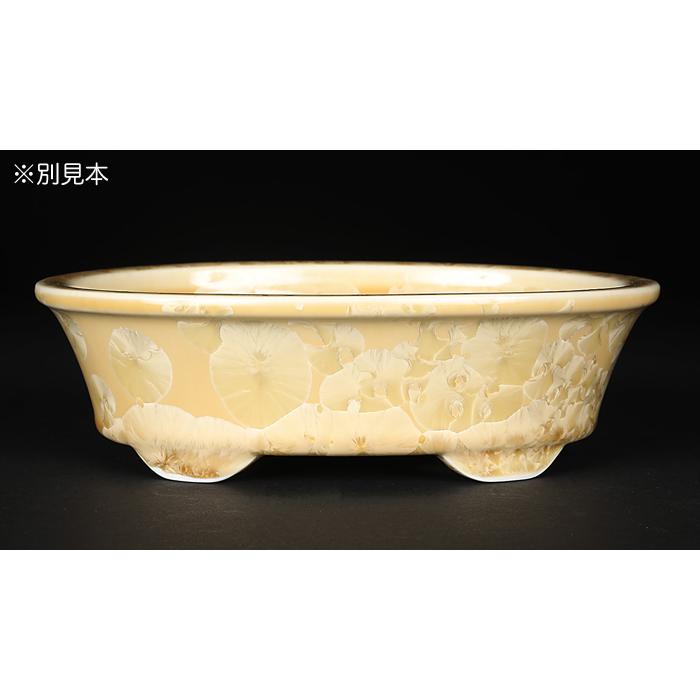 盆栽鉢 植木鉢 「平安泉山黄花結晶楕円鉢」 山草鉢 清水焼 京焼 磁器 6