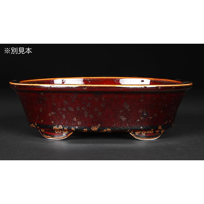 盆栽鉢 植木鉢 「平安泉山辰砂釉星結晶楕円鉢」 山草鉢 清水焼 京焼