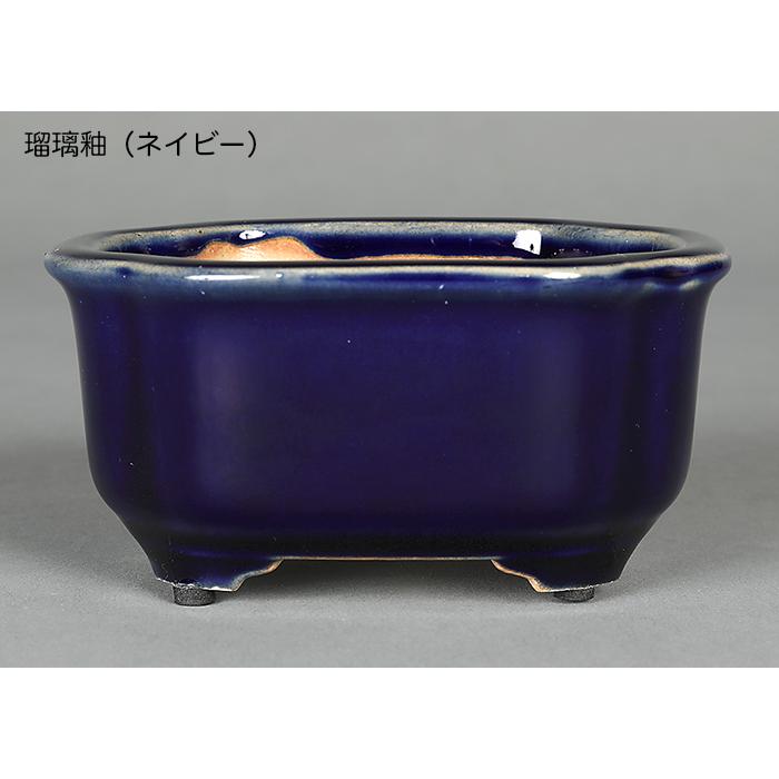 盆栽鉢 広東隅切長方鉢 石峰雨竹 植木鉢 陶器 落款あり 3.5号 10cm