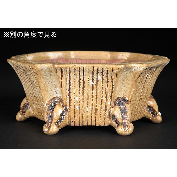 盆栽鉢 「憲窯白釉六角鉢」 植木鉢 辻憲昌 ケンヨウ 色鉢 陶器