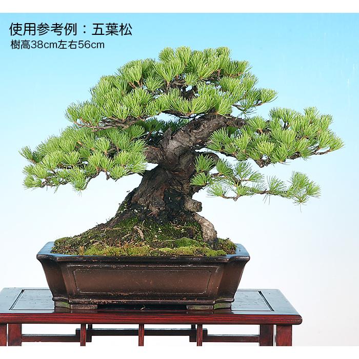 盆栽鉢 紫泥外縁隅切額面長方鉢 植木鉢 中国鉢 張氏製陶 落款あり 13号