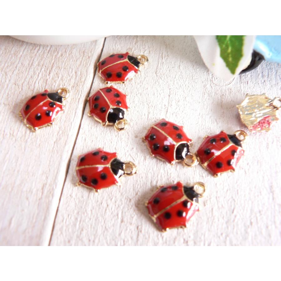 チャーム てんとう虫 6個入 テントウムシ #929 : ブーブーハウス Yahoo