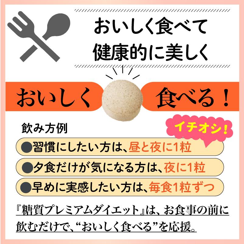 ザ糖質プレミアムダイエット 20粒入り サラシア ギムネマ 糖質