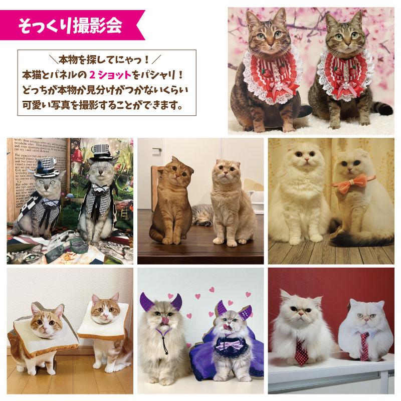 nekoto_うちの子爪とぎパネル : バンドー - 通販 - Yahoo!ショッピング