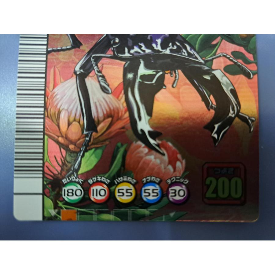 タランドゥスツヤクワガタ 5周年コレクションカード第1弾 029