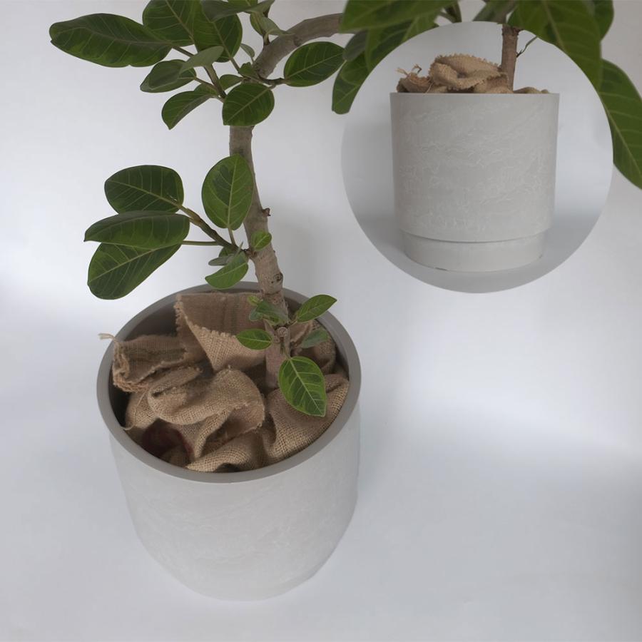 鉢カバー スタック 10号鉢対応 径37cm 高35cm 8号鉢対応 植木鉢 径31cm