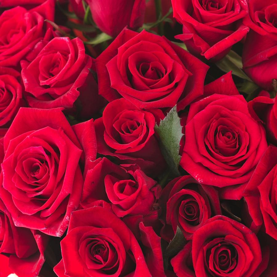 花瓶フラワー・フラワーベース シリンダー（クリア） 赤バラ30本 : SP