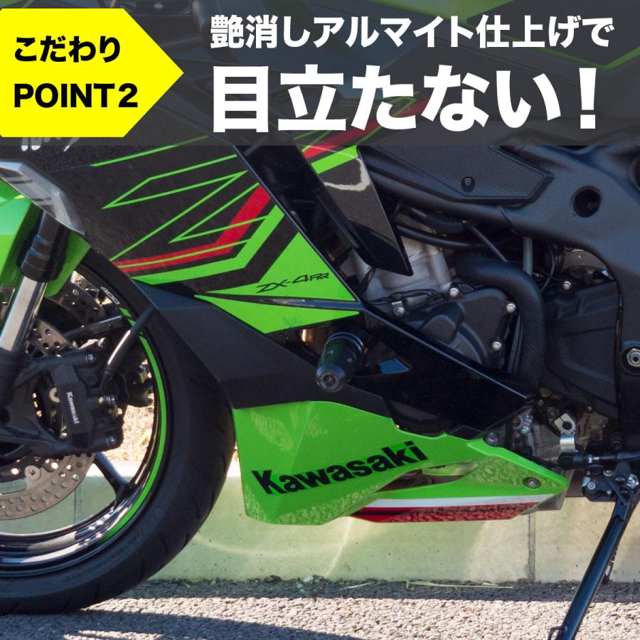 ワールドウォーク（WORLD WARK） 1年保証付き ZX-4RR ZX-4R SE