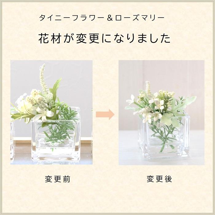 マジカルウォーター 3個セット フェイクグリーン 光触媒 おしゃれ 人気