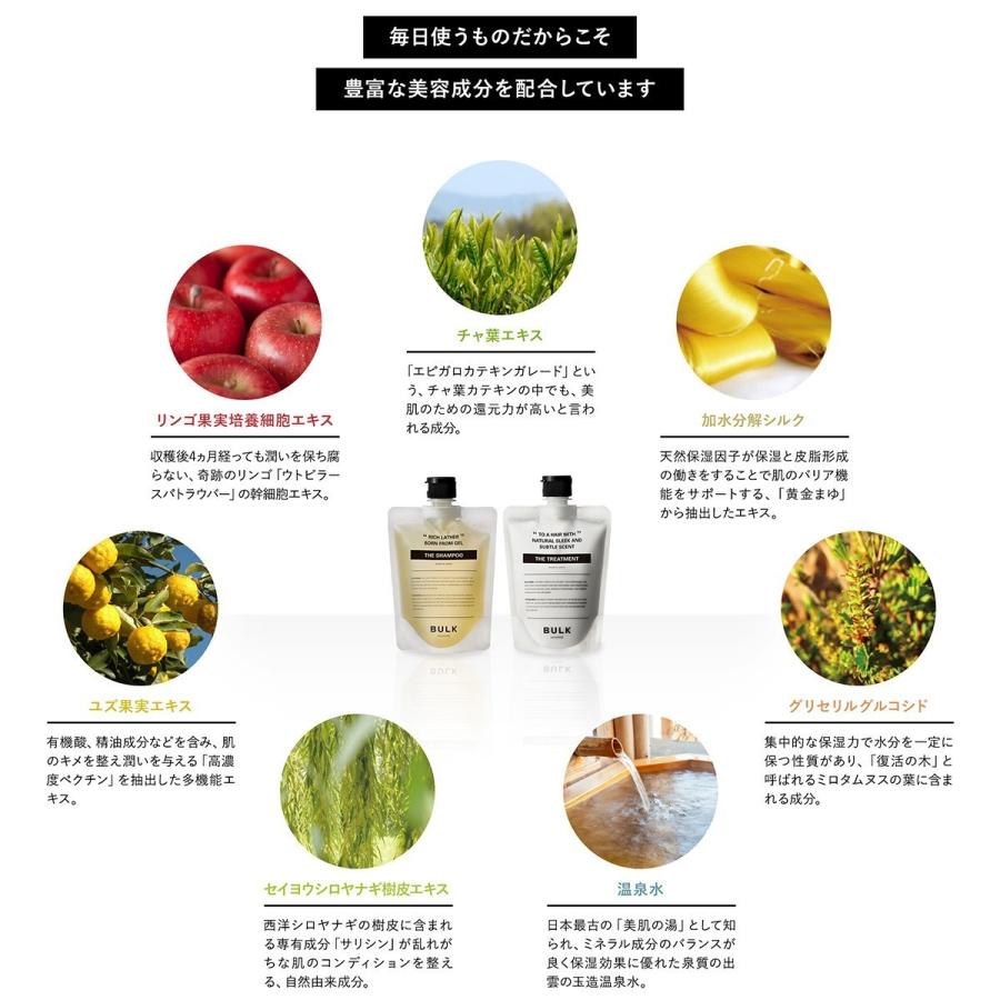 BULK HOMME（バルクオム） シャンプー トリートメント セット THE