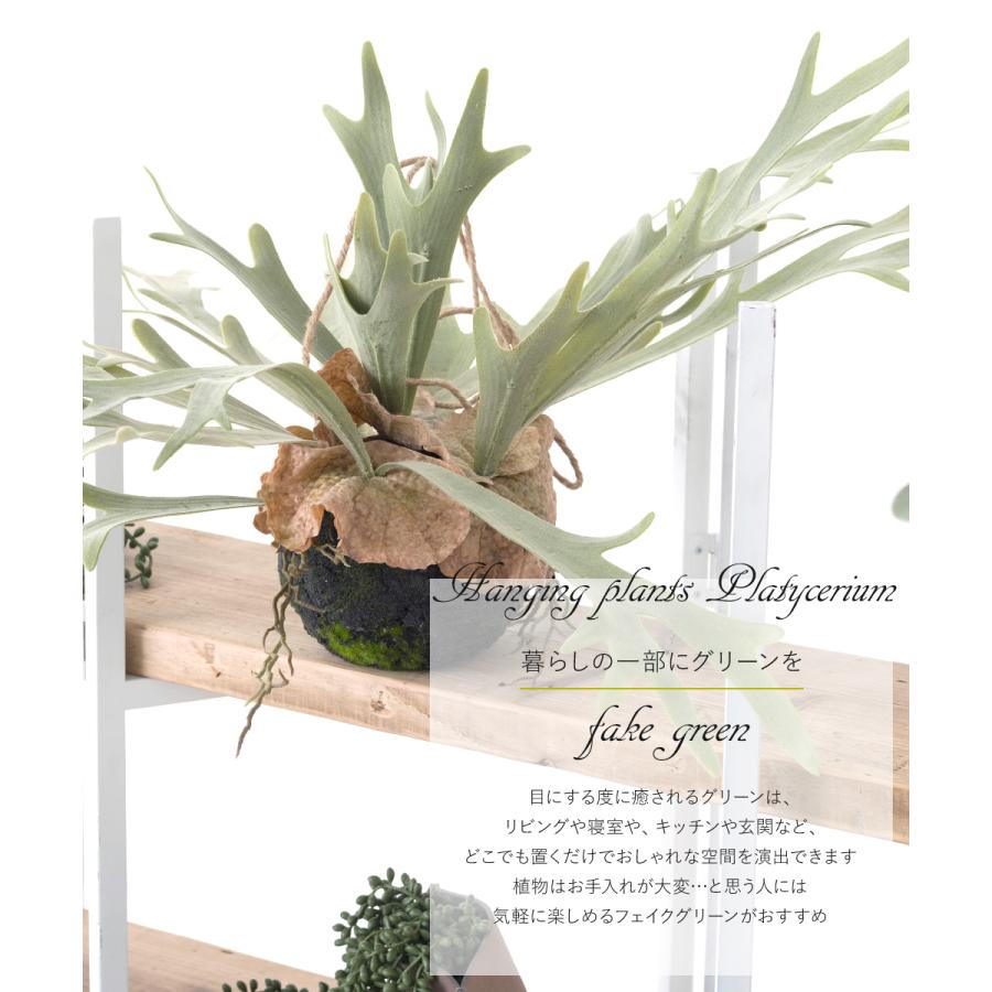 コウモリラン 壁掛け ビカクシダ 人工 観葉植物 フェイク リアル 吊り
