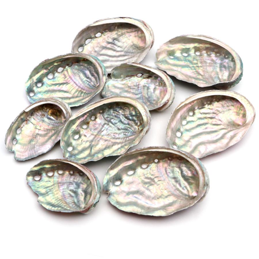 GOLD STONE 貝殻 パーツ レジン アバロンシェル 10個 サイズMix 4-6cm