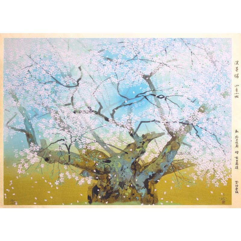 中島千波 「 薄墨桜 」 木版画 版画 絵画 日本画 さくら 春 日本 三大