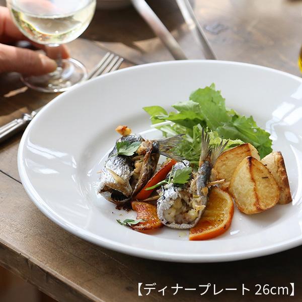 Tivoli（Saturnia） サタルニア チボリ ディナープレート18/20/23/26cm