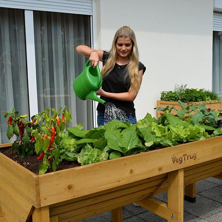 タカショー 鉢 プランター ベジトラグ 菜園 スタンド 木製