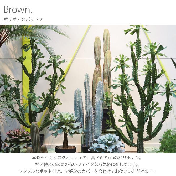 観葉植物 サボテン 造花 大型 大きい グリーン おしゃれ Brown
