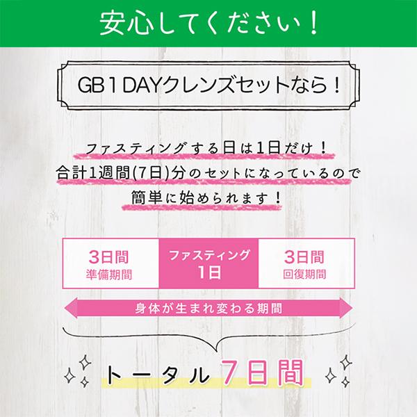 公式】☆3個セット☆GB 1DAY CLEANSE SET（ワンデイクレンズセット