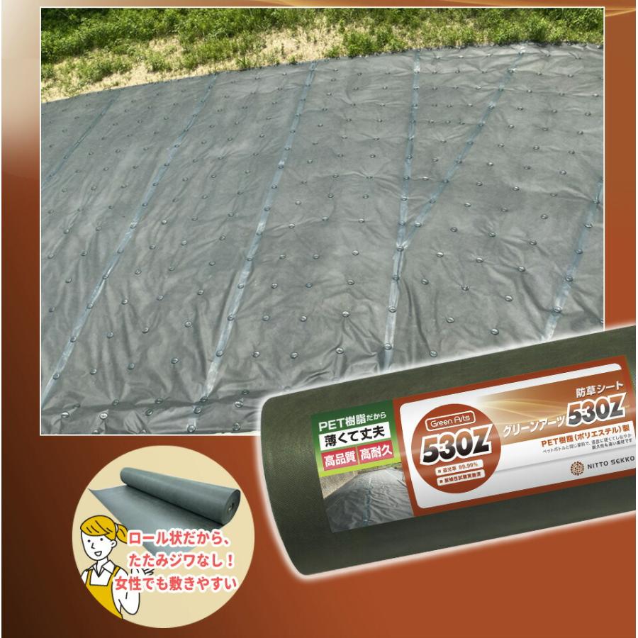 防草シート グリーンアーツ 530Z 1m×50m 最高品質 耐用年数 20年 高
