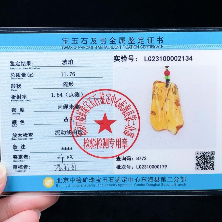 PROME 天然石 一点物 超超超希少！！！ 虫がたくさん 虫入り琥珀